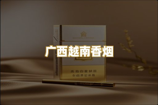 广西越南香烟